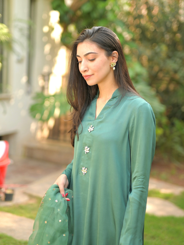 Summer Green Fancy and Party Wear