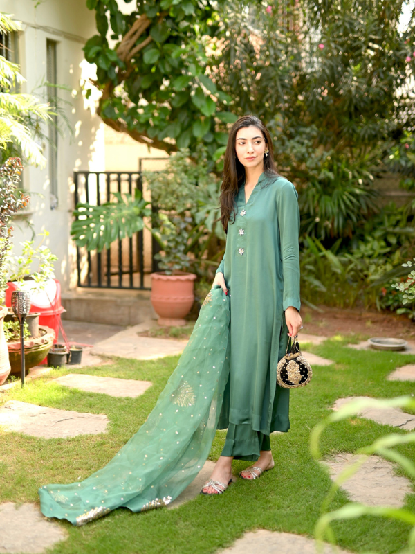 Summer Green Fancy and Party Wear