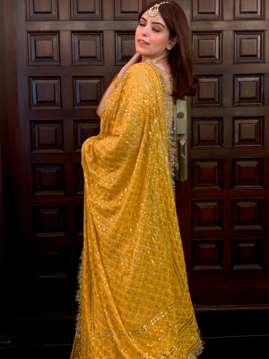 Kamdani Chickenari Lehnga