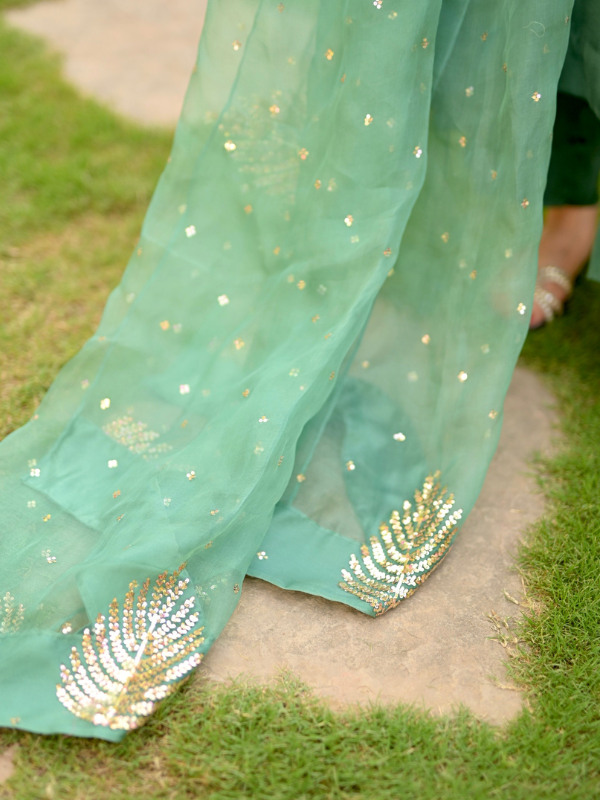 Summer Green Fancy and Party Wear