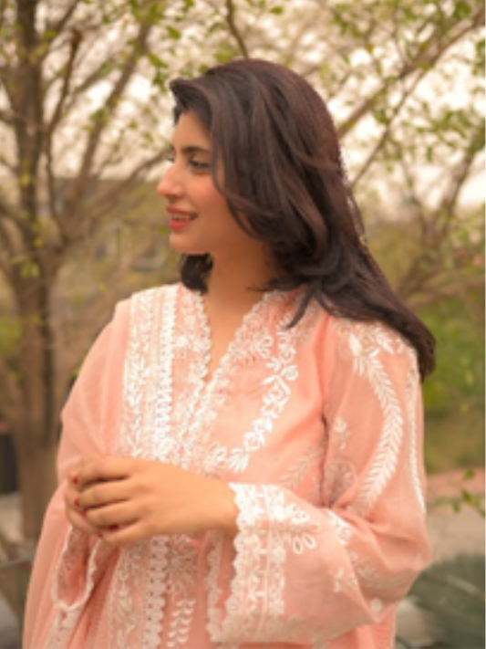 Embroidery-Lined shirt & dupatta-Cotton net
