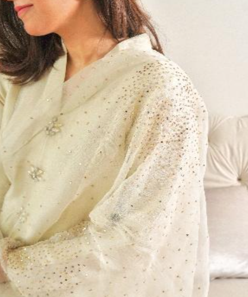 Three Piece Set Raw Silk 80g  - (dupatta, shirt & pants)